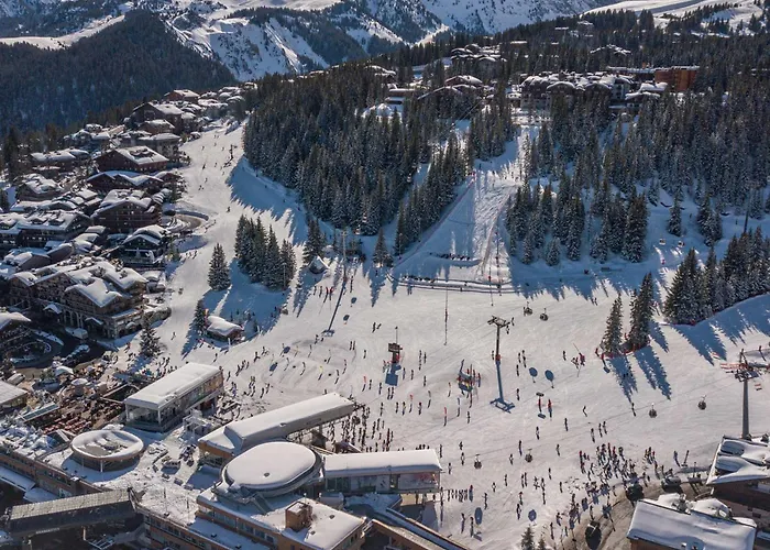 公寓 4 Au Centre De 1850 Avec Parking - Fr-1-564-93 谷雪维尔